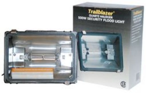 Picture of Lamp Halogen Flood 120V-500W - No: L002703