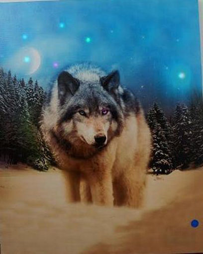 Picture of Dream Catcher 16X20in Led, Wolf - No DCL2002