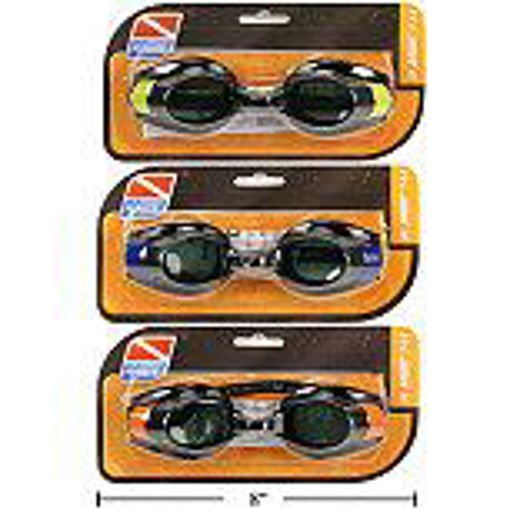 Picture of Goggles Pro Racer - No 17548