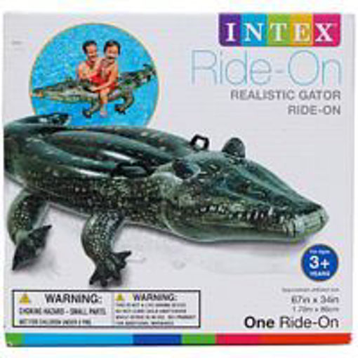 Picture of Ride On 67X34in Realistic Gator - No 57551EP