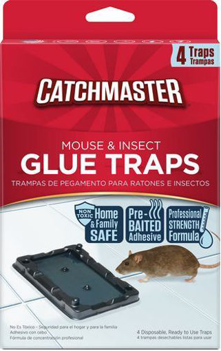 Picture of Mouse Glue Trap 4pk - No CM-104