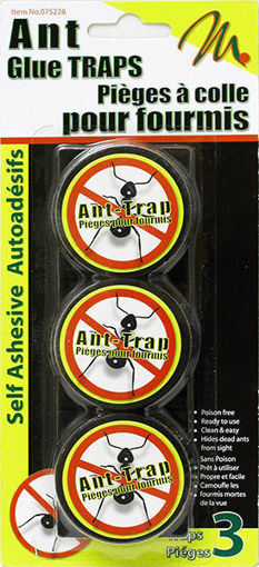 Picture of Ant Trap 3Pk Plastic - No 075228