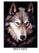 Picture of Blanket Mink Millennium 80"X96" - No BLANKET