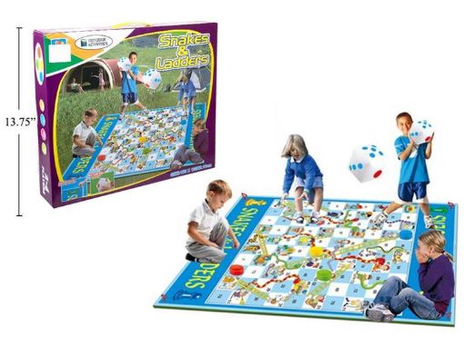 Picture of Giant Snakes And Ladder 71X63In - No 15249