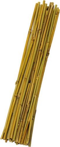 Picture of Bamboo Stakes 12Pk 6Ft - No B000286N