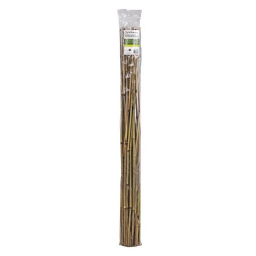 Picture of Bamboo Stakes 25Pk 4Ft - No B000284N