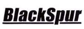 Picture for category BlackSpur