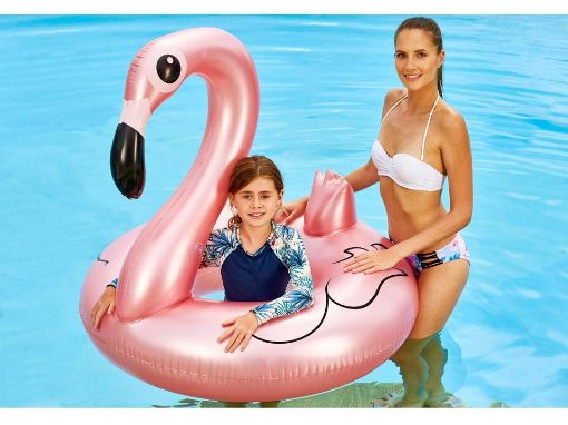 Picture of Inflatable Flamingo Ring 41.75In - No 17488