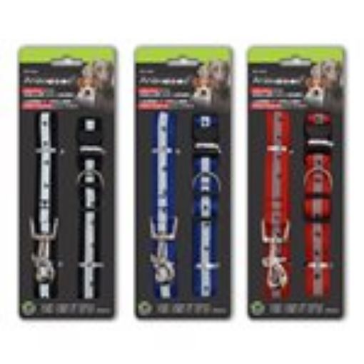 Picture of Nylon Dog Collar & Leash, Asst - SKU: PEC-824