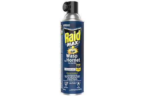 Picture of Raid Wasp & Hornet Killer 500Gr - No 01792