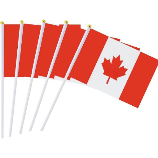 Picture of Canada Flag Hand 5Pk 5.5X8.2In - No 62159